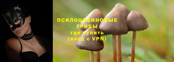 2c-b Чекалин