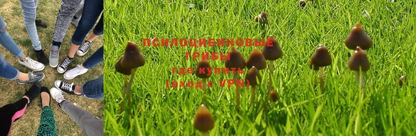 герыч Вязники