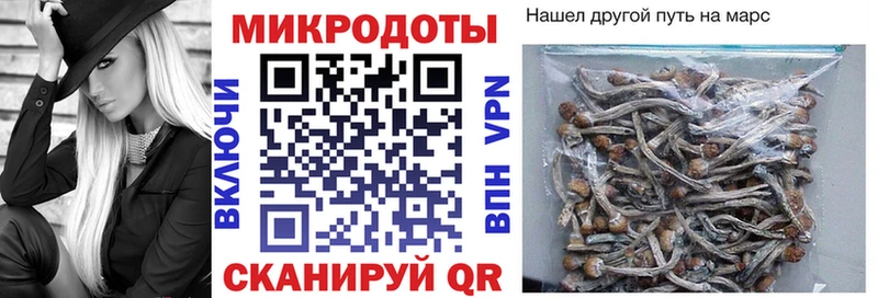 Галлюциногенные грибы Psilocybe  omg зеркало  Лодейное Поле 
